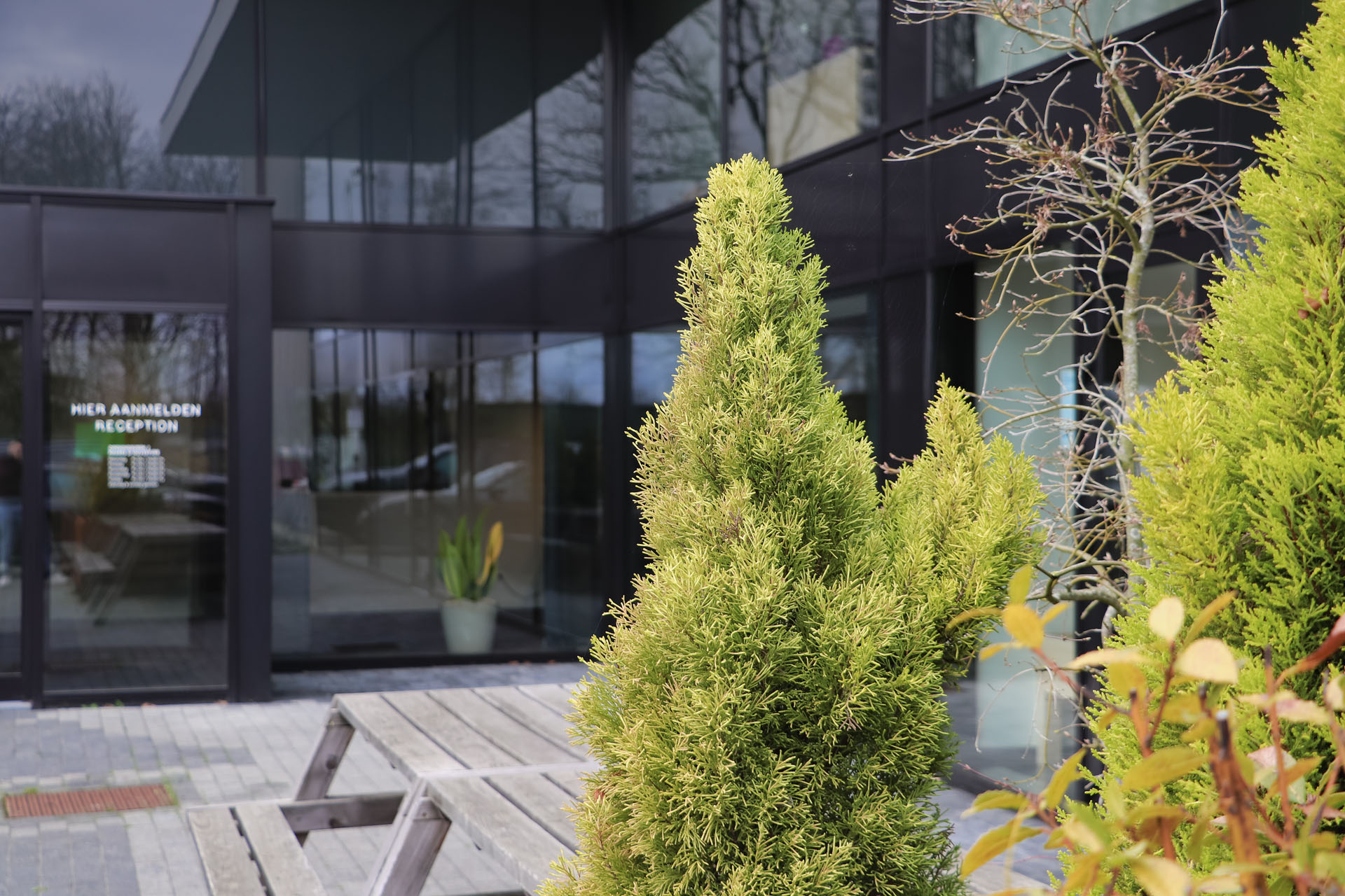 Bw Trailers Expands Bw Trailers